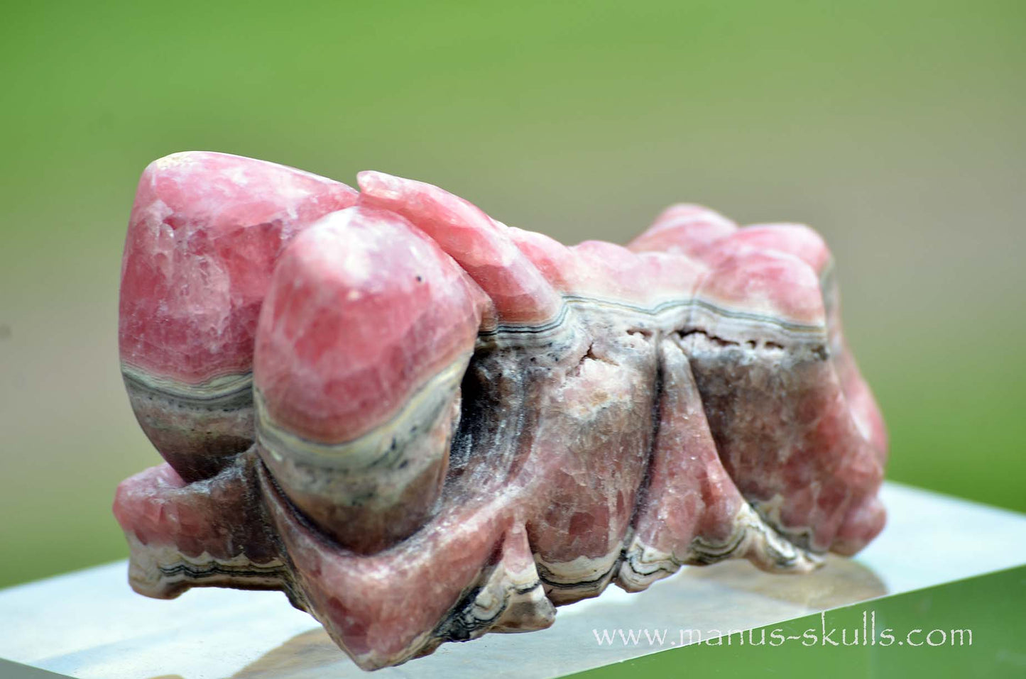 Rhodochrosite Dragon