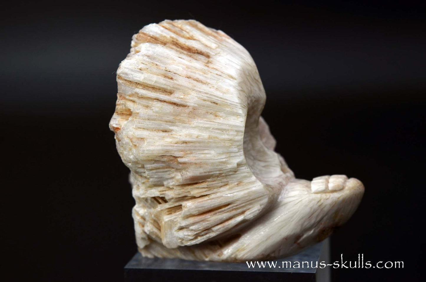 Scolecite Evolian Skull #06