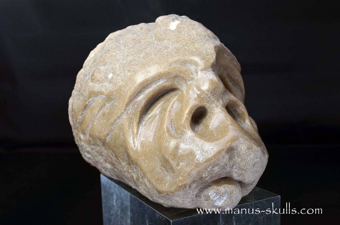 Large Stromatolite ~ Oncolite Character Skull