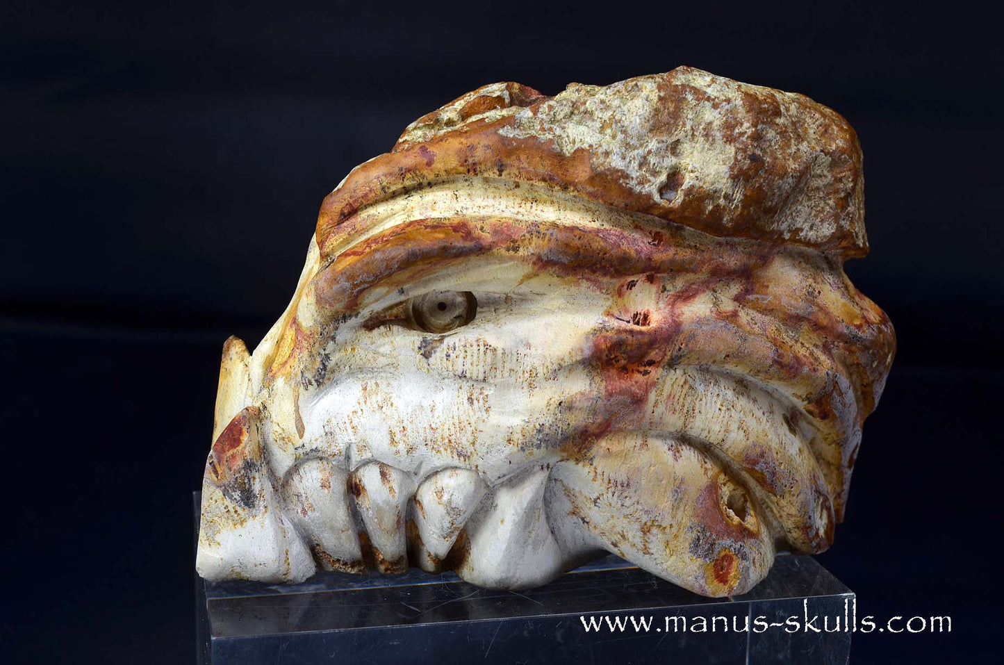 Petrified Coral Dragon