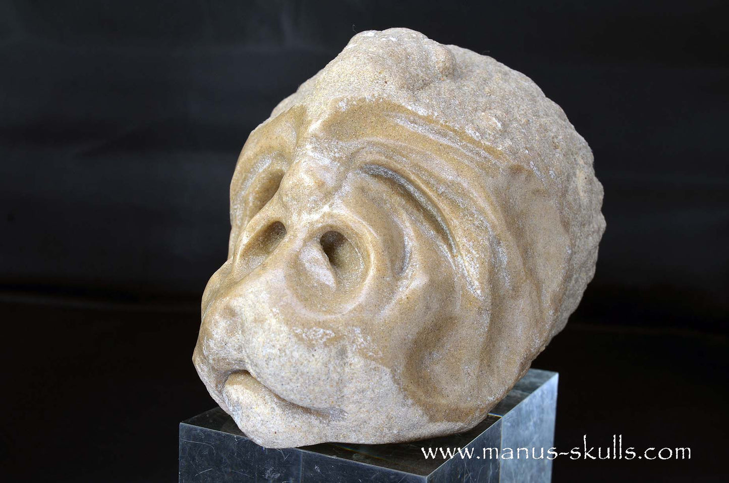 Large Stromatolite ~ Oncolite Character Skull