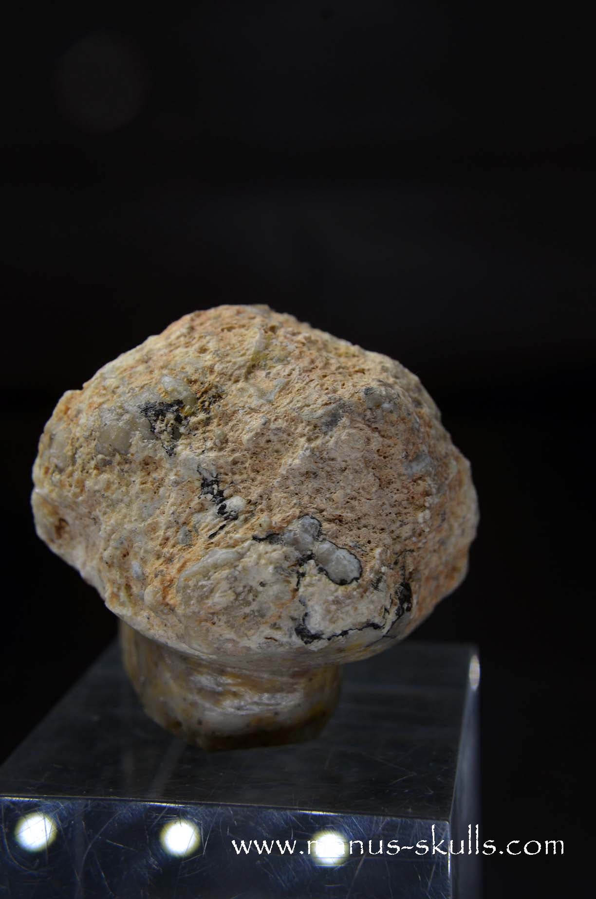 TNT-bed Thunderegg Evolian #06