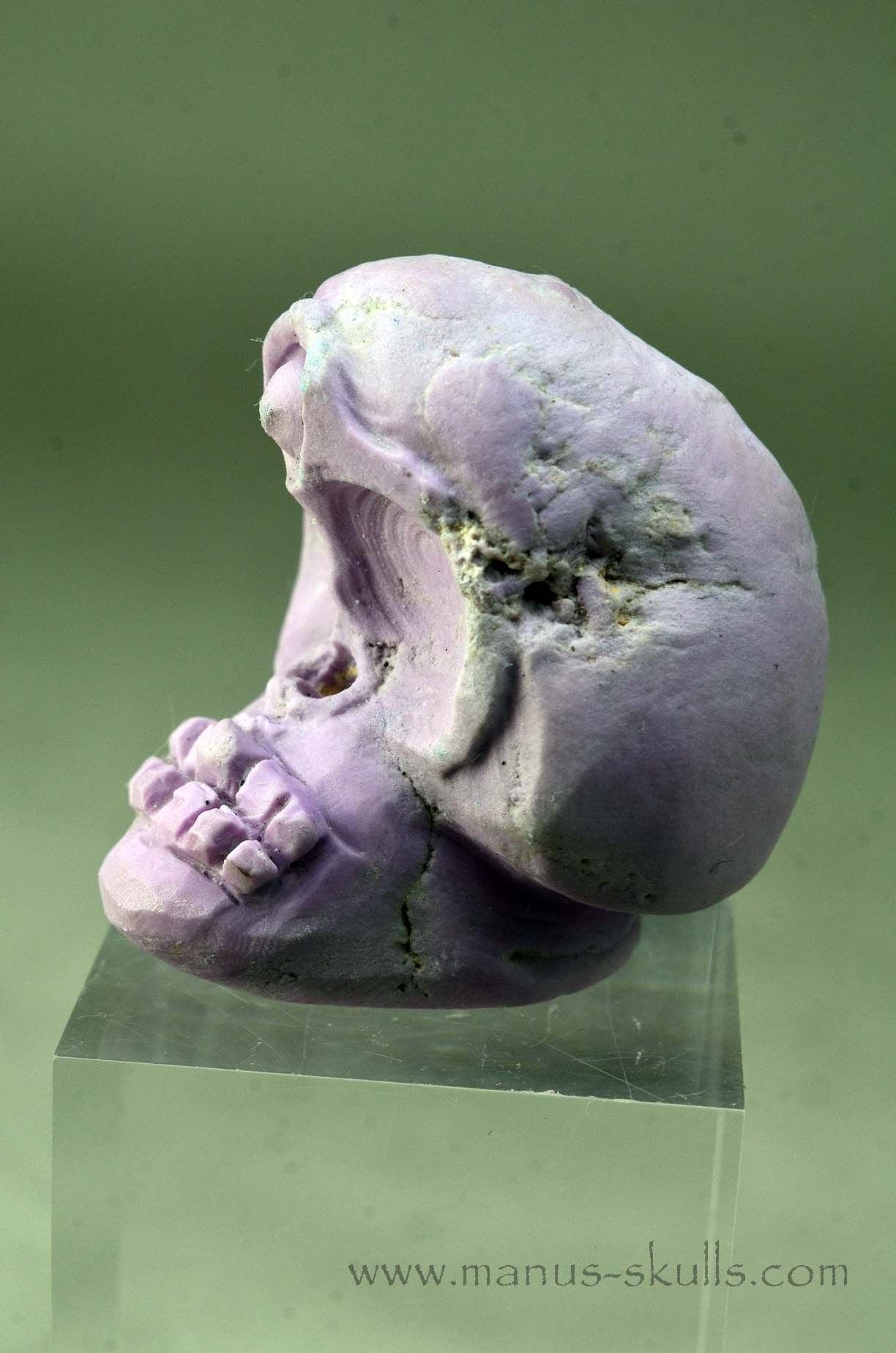 Phosphosiderite Evolian Skull #07