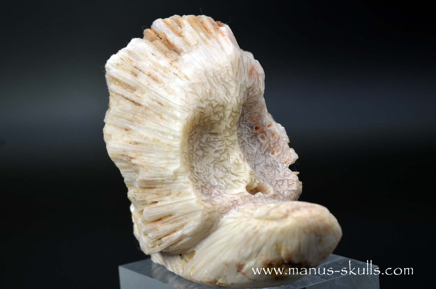 Scolecite Evolian Skull #06