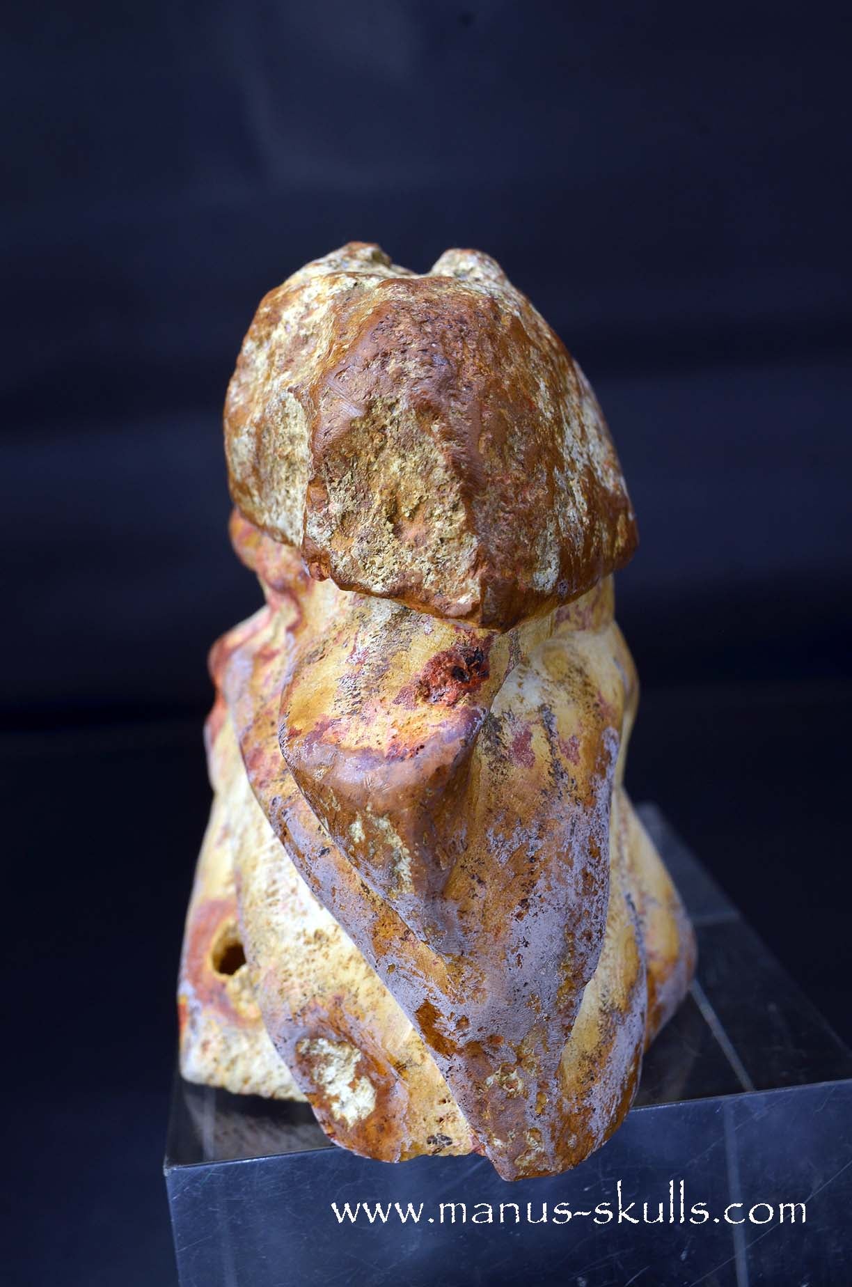 Petrified Coral Dragon