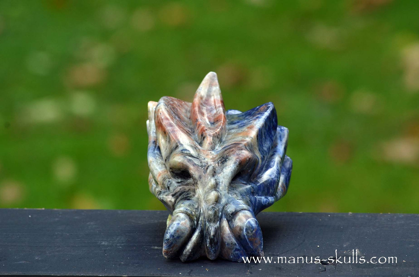 Sunset Sodalite Dragon