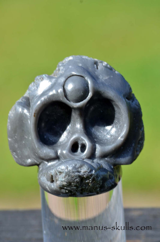 Agni Manitite Evolian Manus Skull