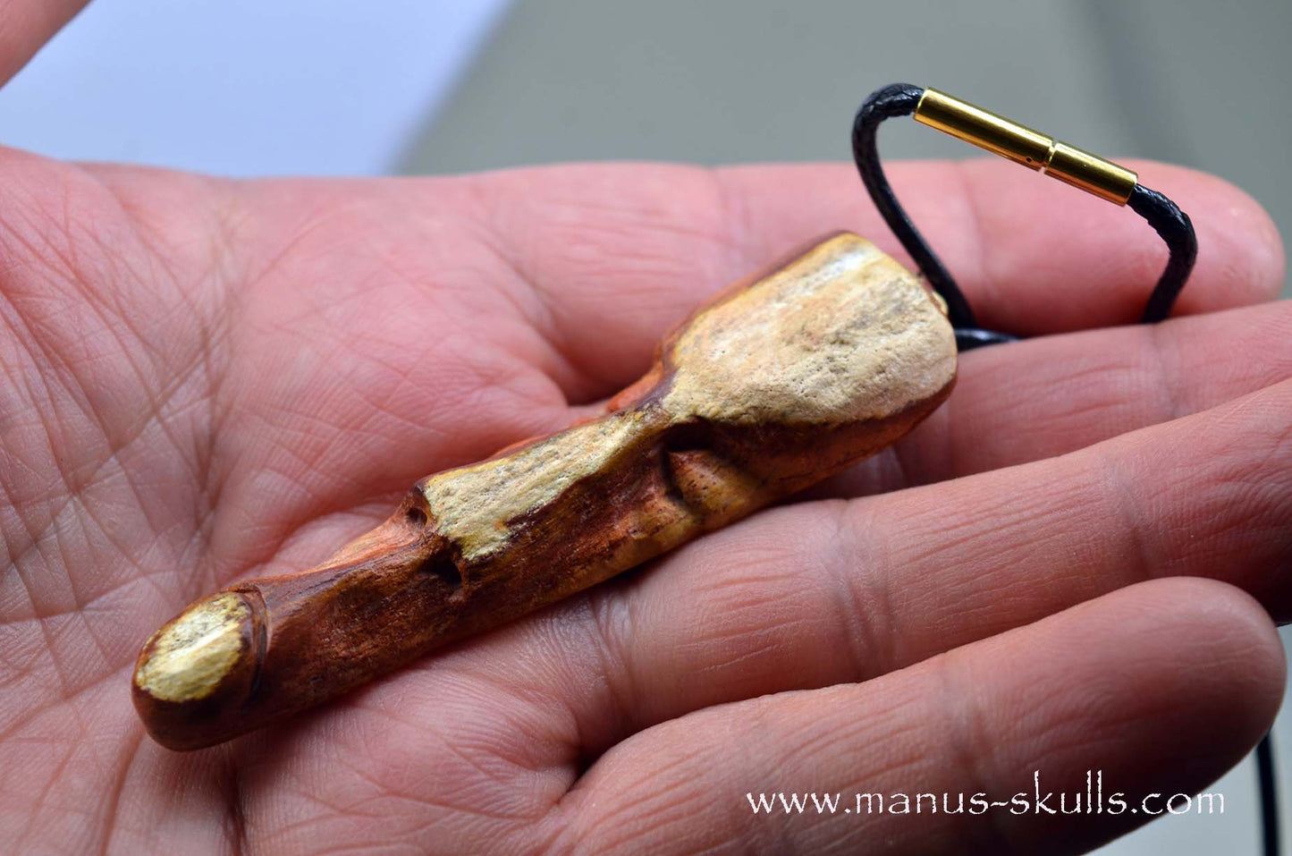 Petrified wood Pendant