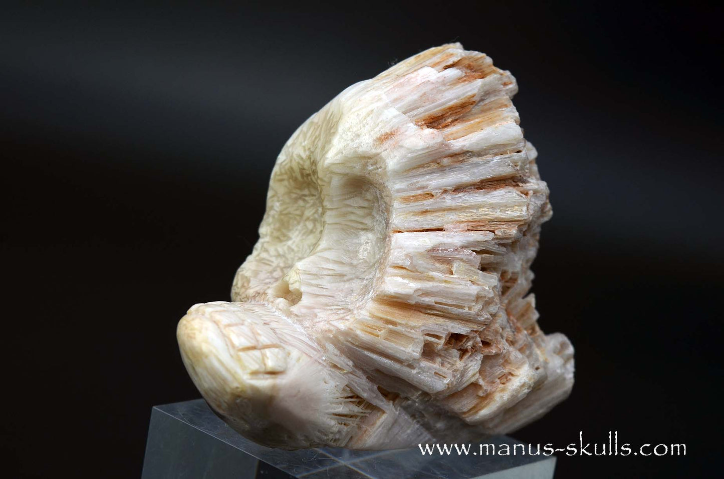 Scolecite Evolian Skull #06