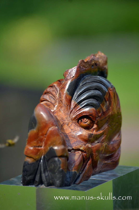 Manus skulls unique Crystal Carvings handmade skulls dragons pendants preseli bluestone tribals spiritual meaning wand Unicorn ..  Rainbow Jasper