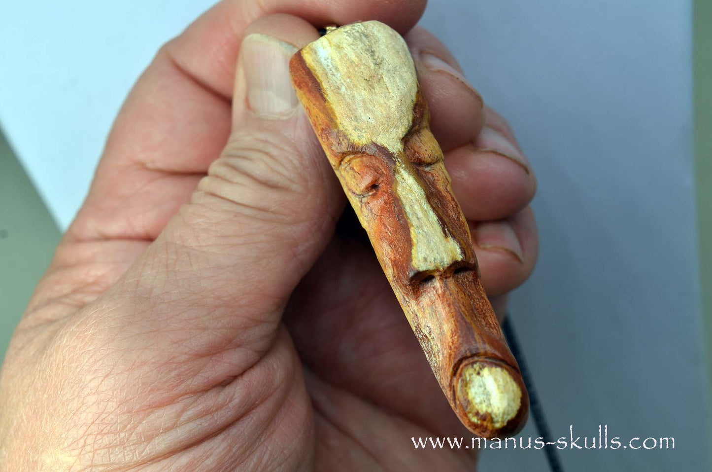 Petrified wood Pendant