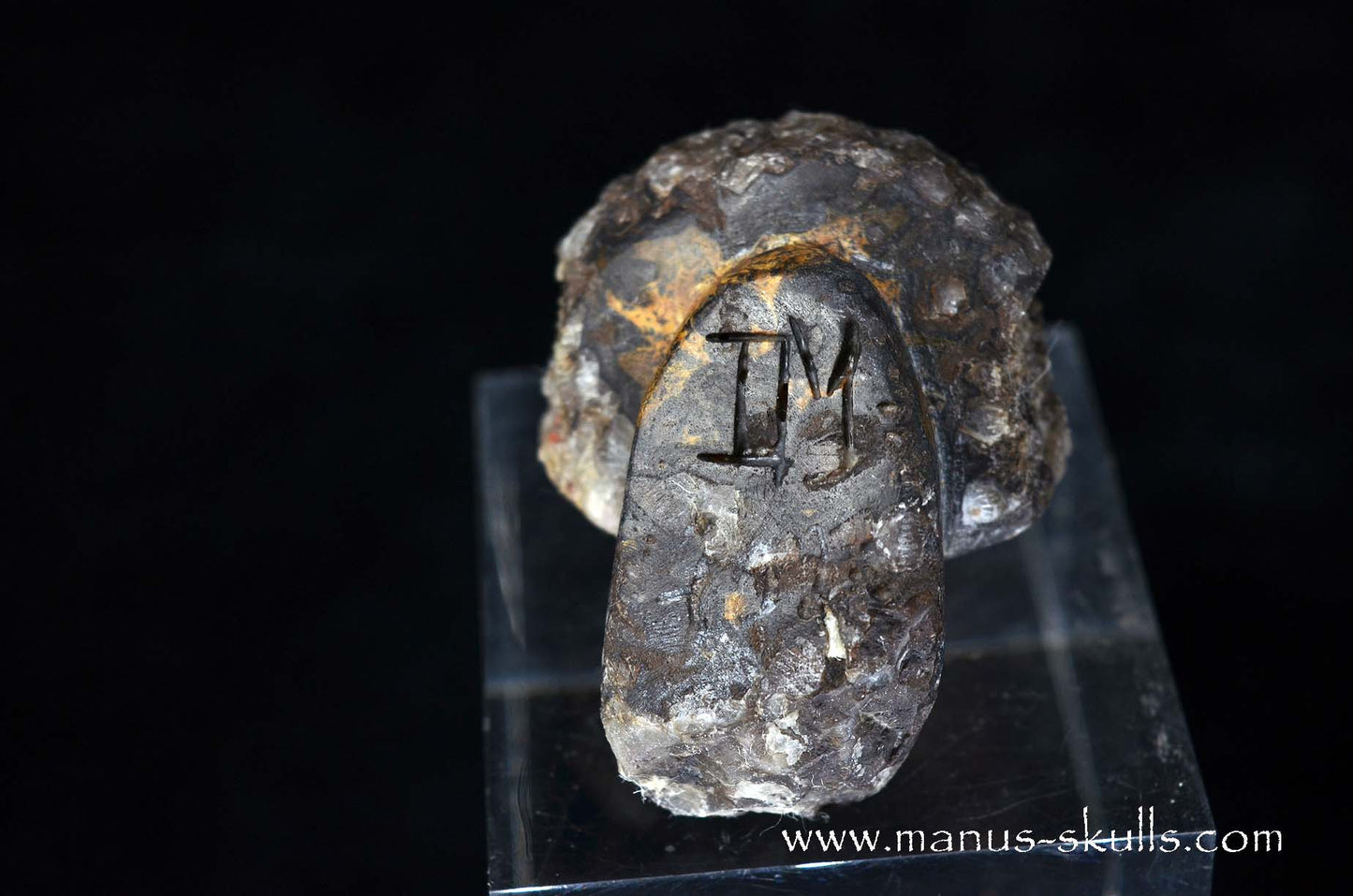 Agate Geode Evolian #07