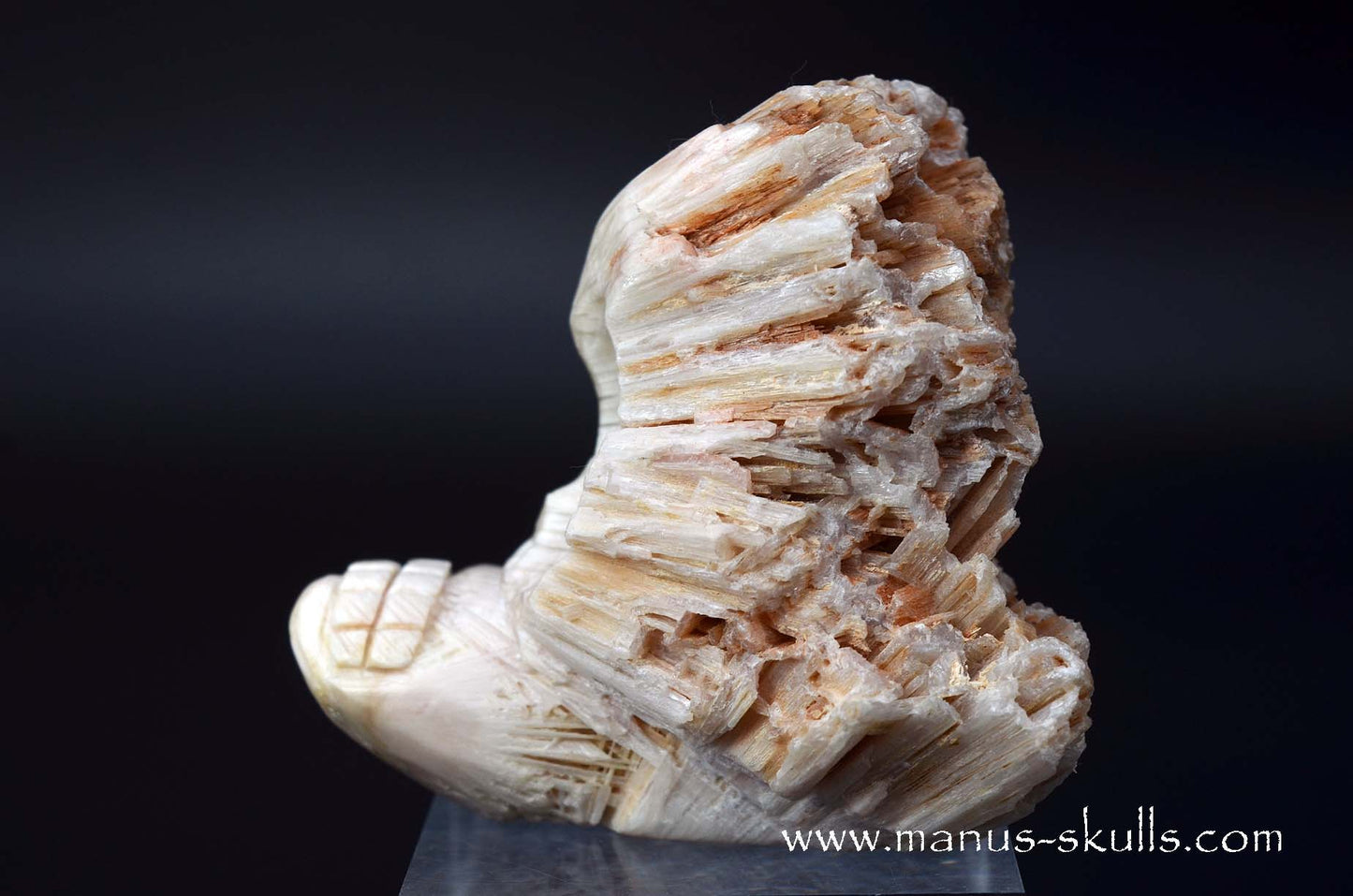Scolecite Evolian Skull #06