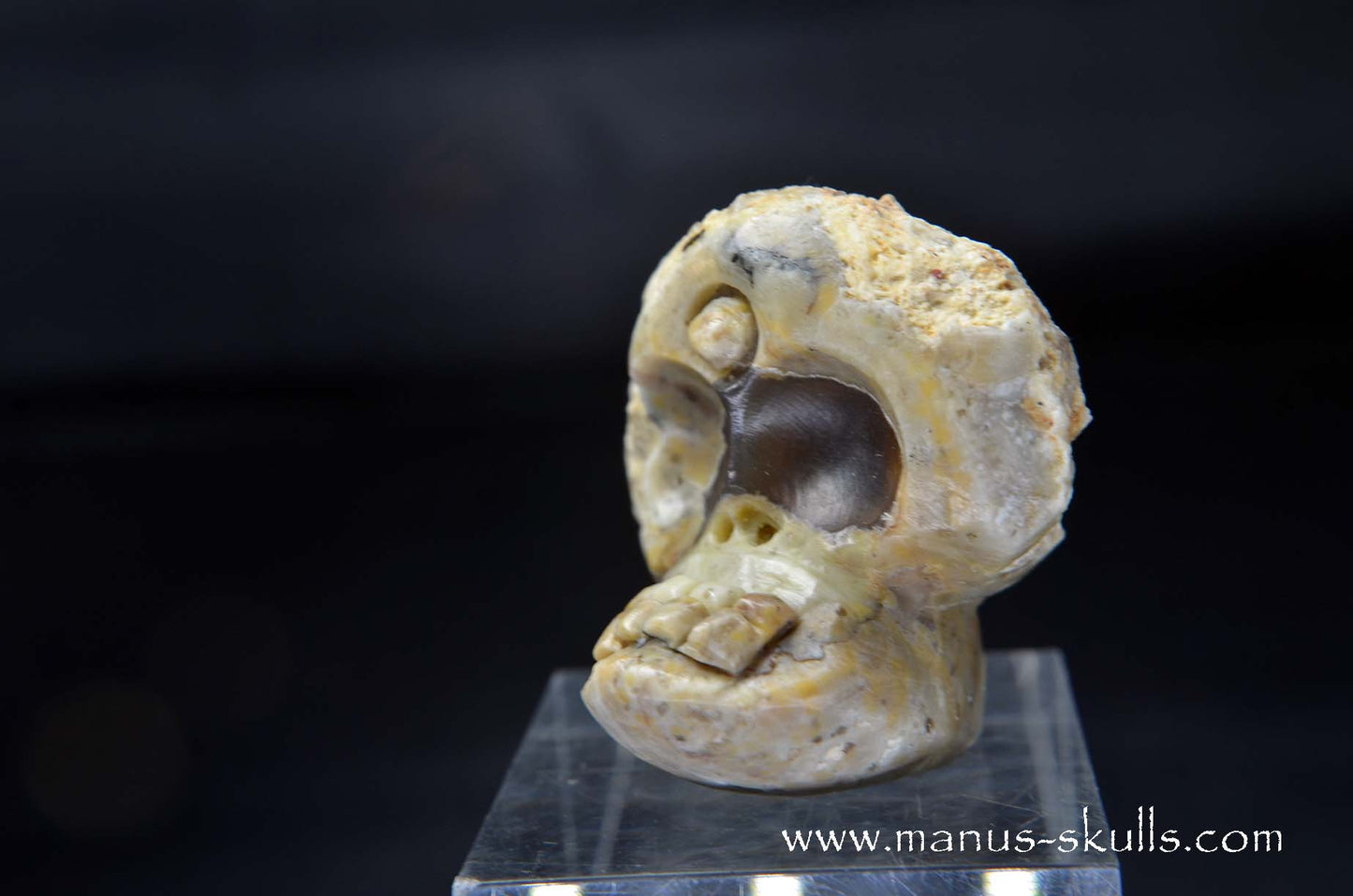 TNT-bed Thunderegg Evolian #06