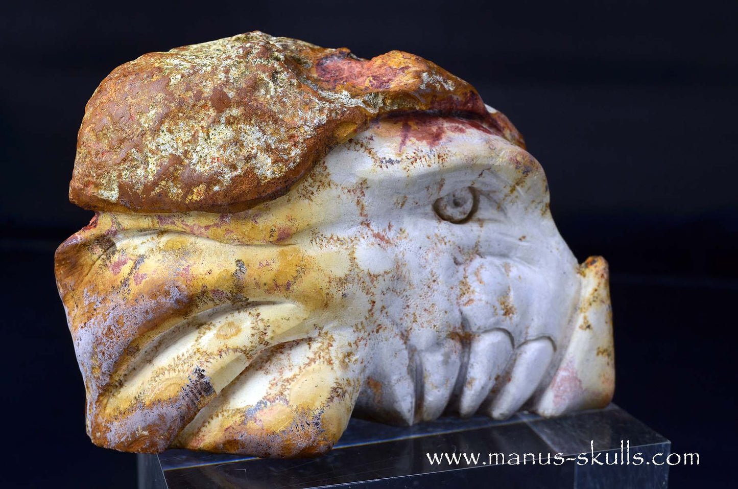 Petrified Coral Dragon