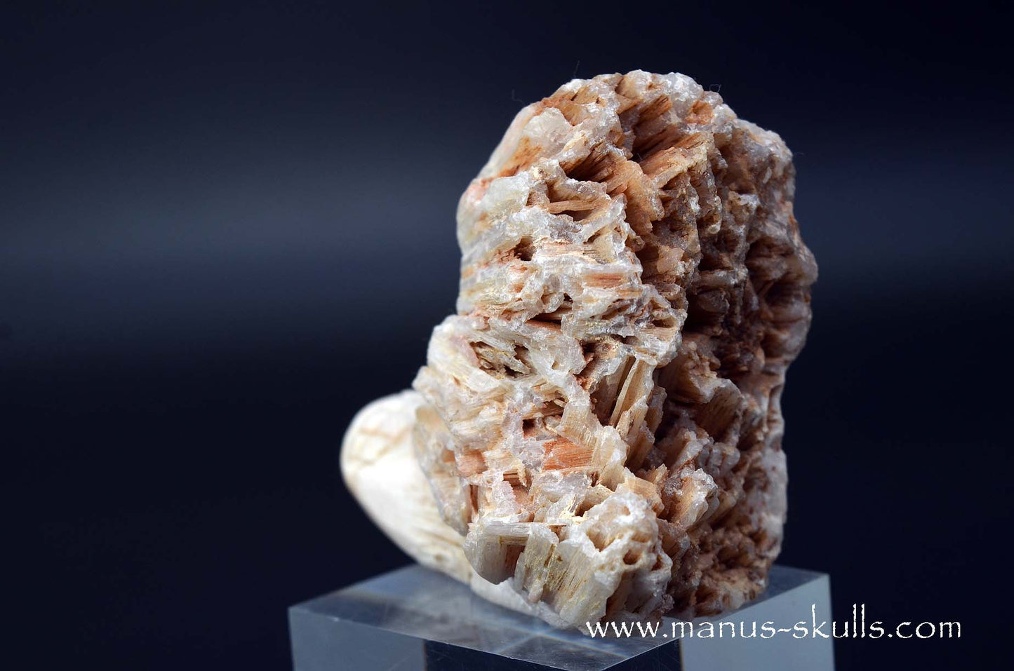 Scolecite Evolian Skull #06