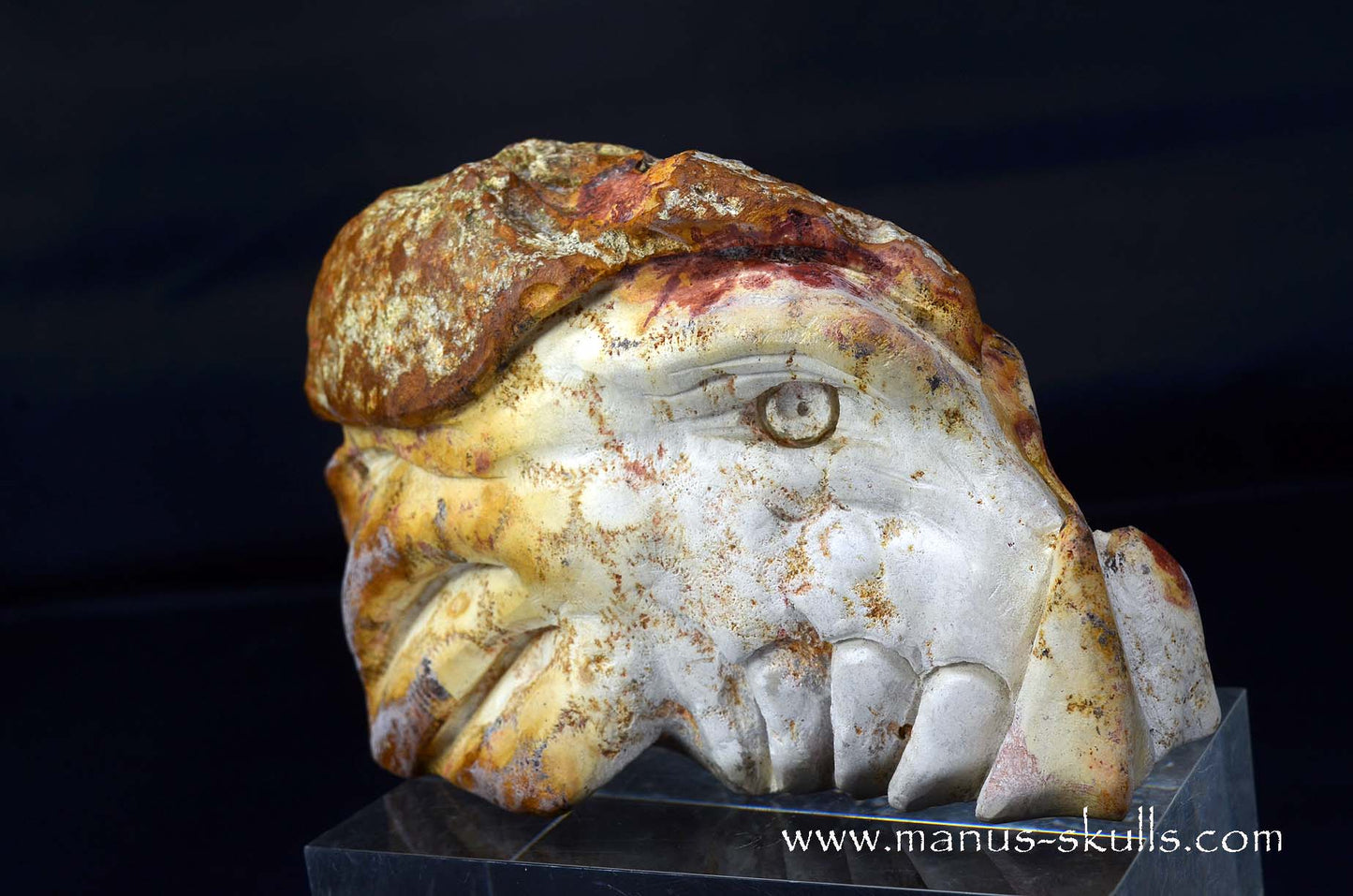 Petrified Coral Dragon