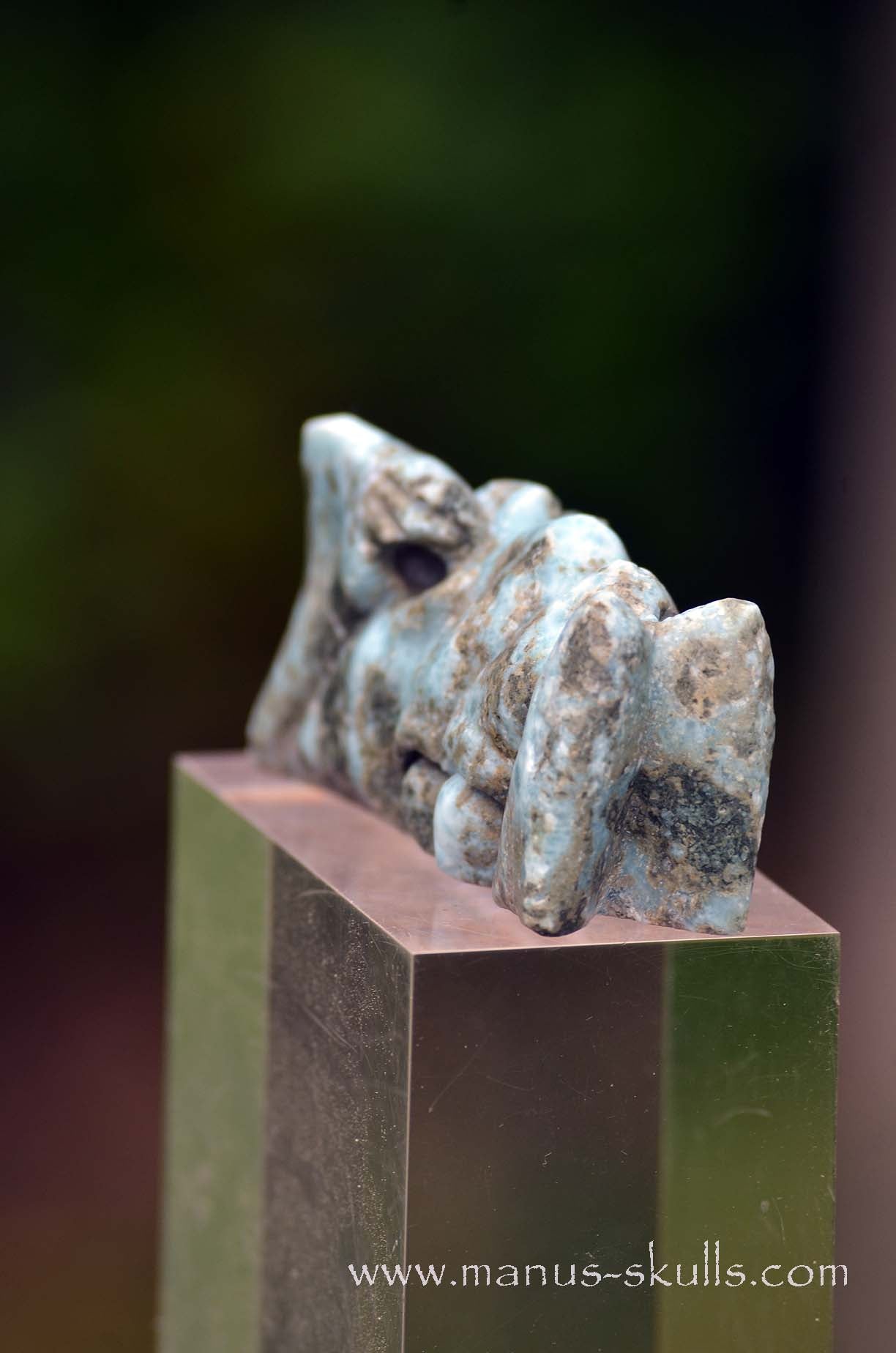 Larimar Dragon