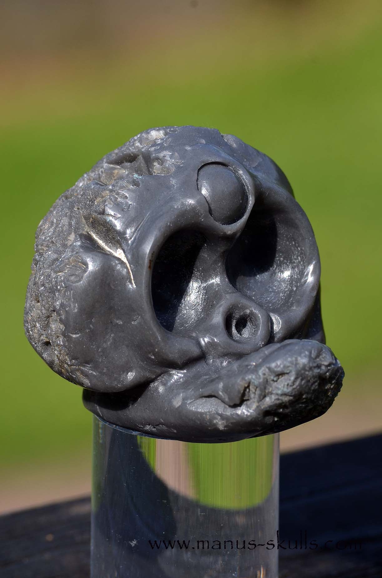 Agni Manitite Evolian Manus Skull