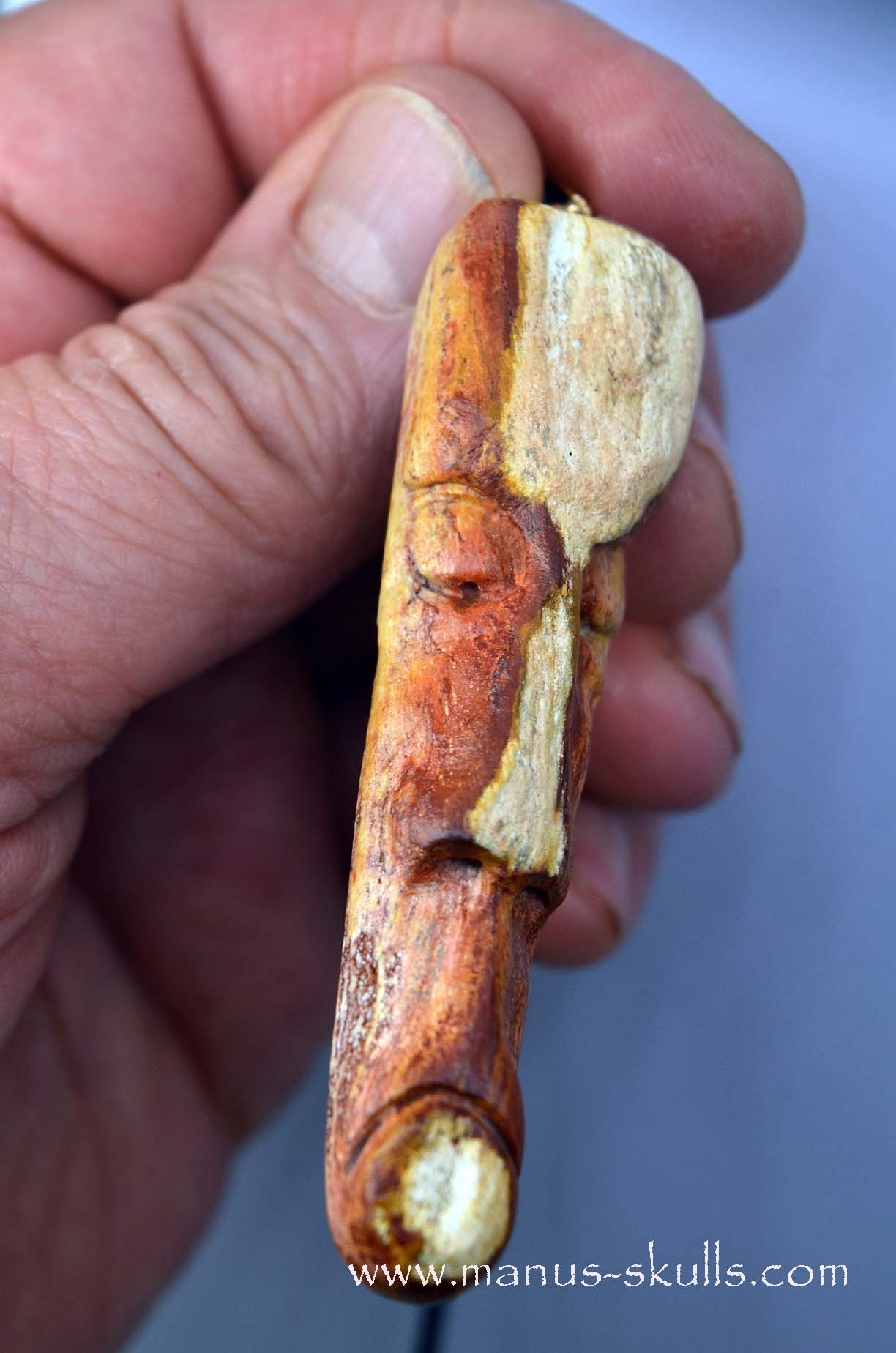 Petrified wood Pendant