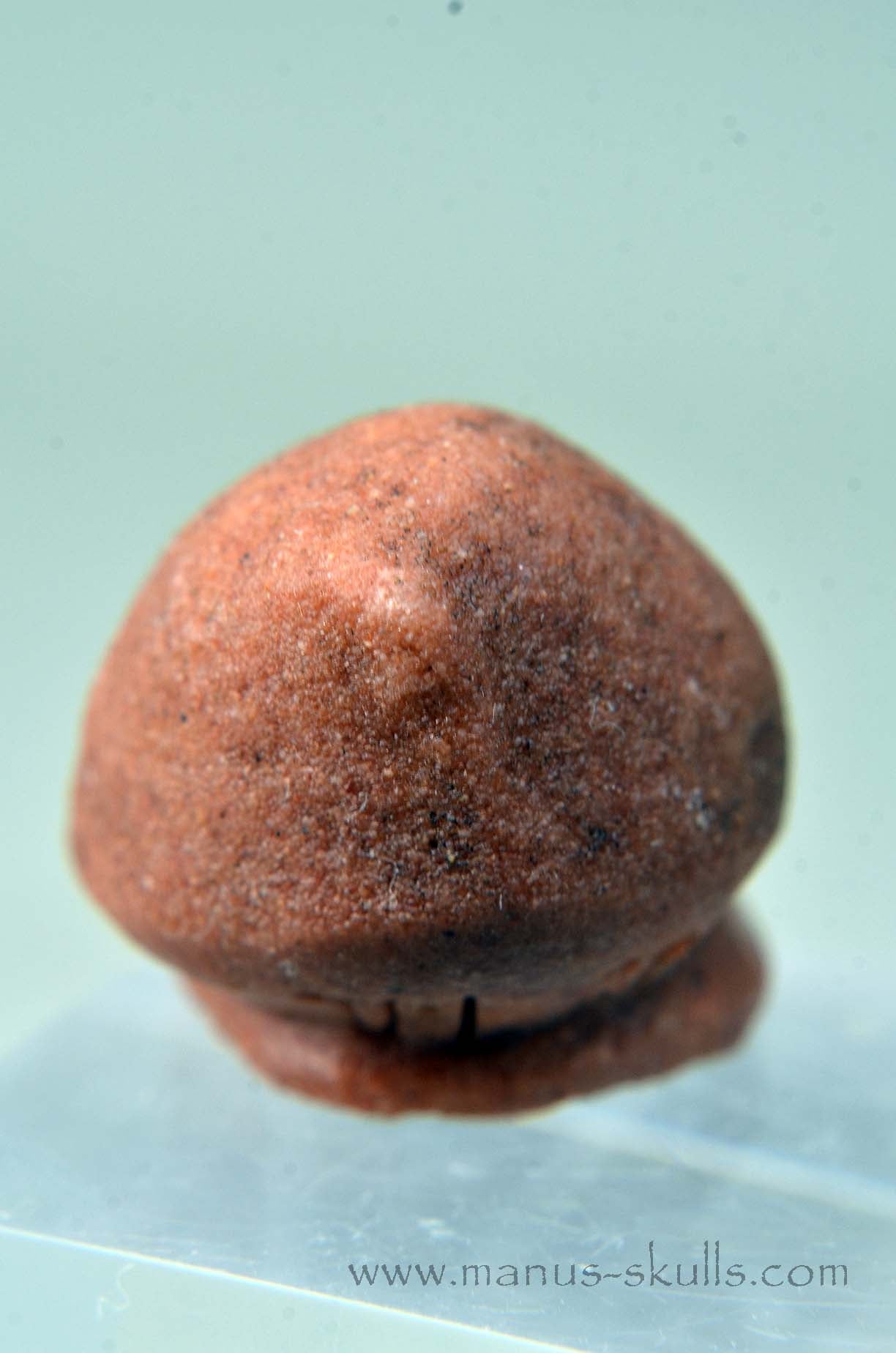 Oncolite EVOLIAN #08 (2025)