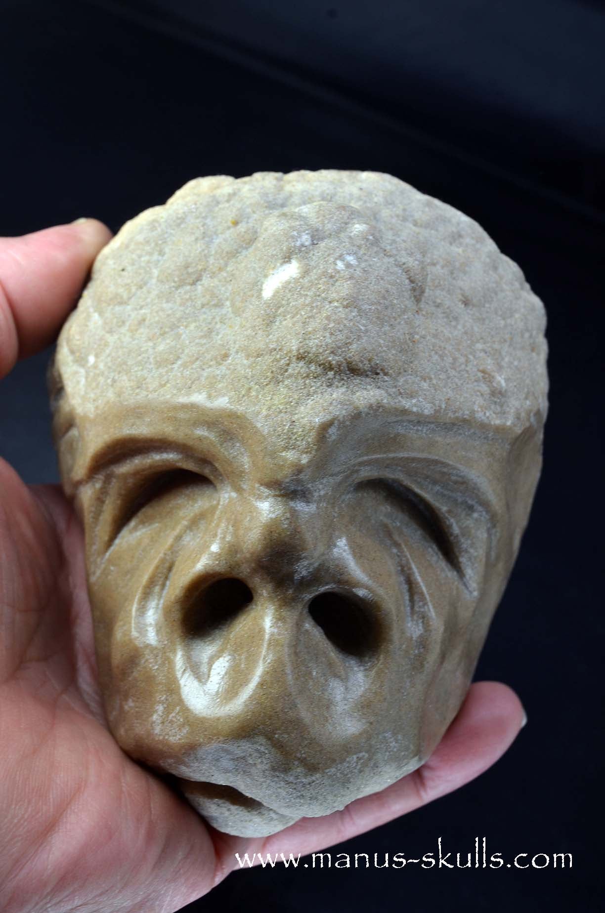 Large Stromatolite ~ Oncolite Character Skull