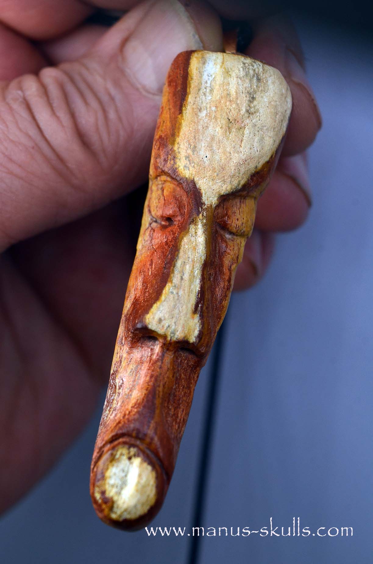 Petrified wood Pendant