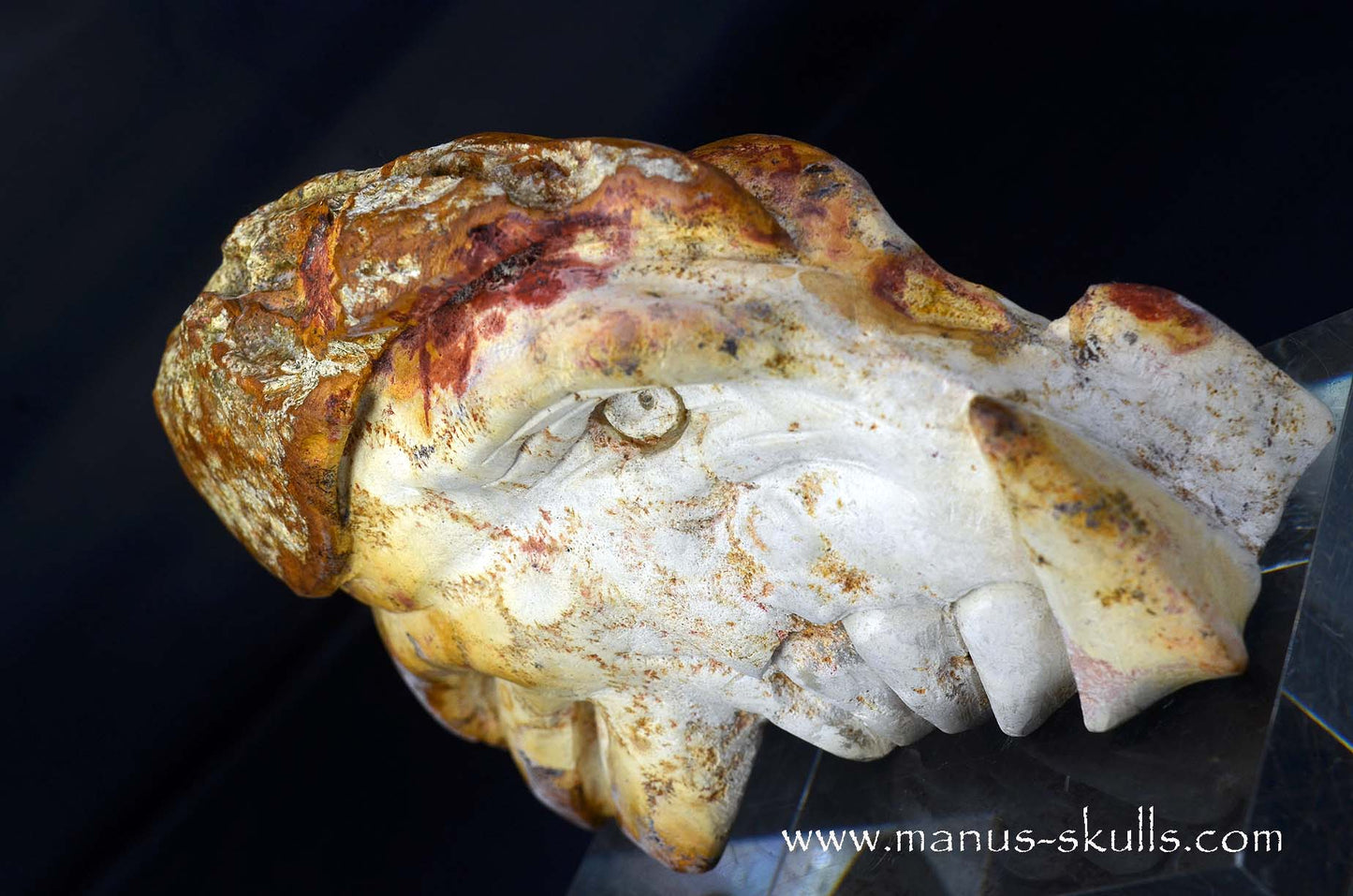 Petrified Coral Dragon