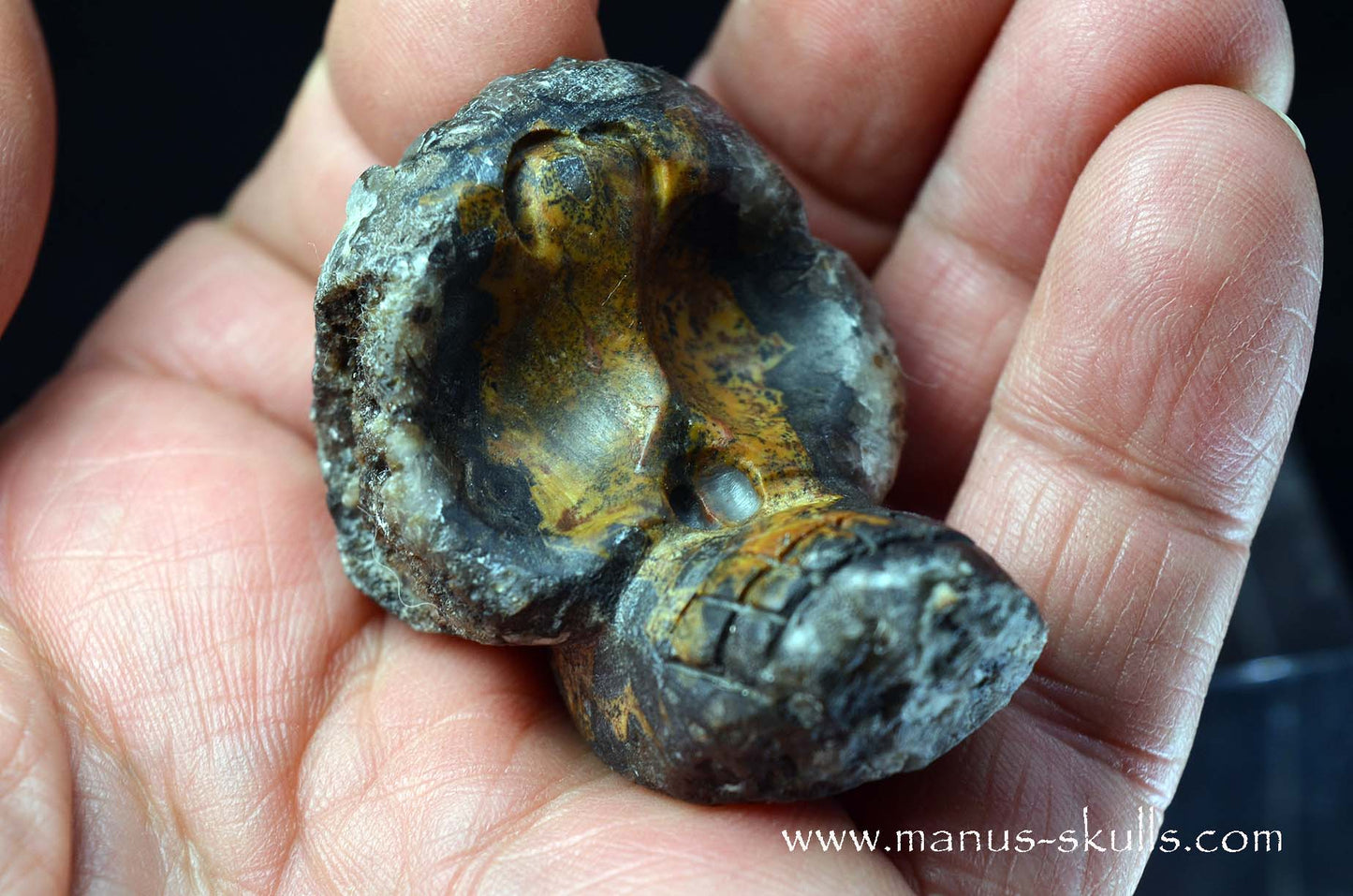 Agate Geode Evolian #07