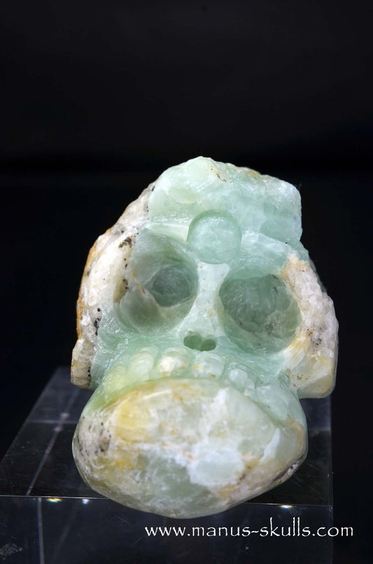 Manus skulls unique Crystal Carvings handmade skulls dragons pendants preseli bluestone tribals spiritual meaning wand Unicorn .. prehnite Evolian 2025