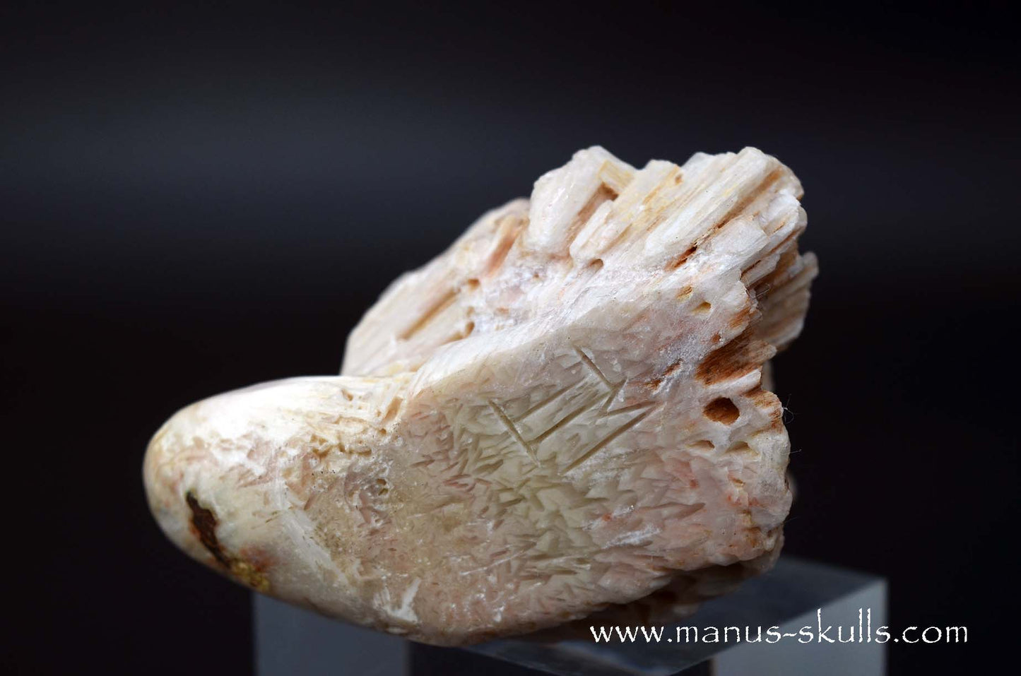 Scolecite Evolian Skull #06