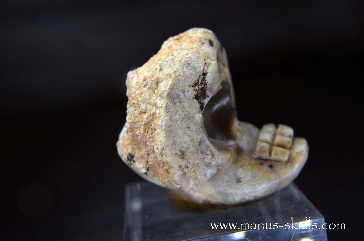 TNT-bed Thunderegg Evolian #06