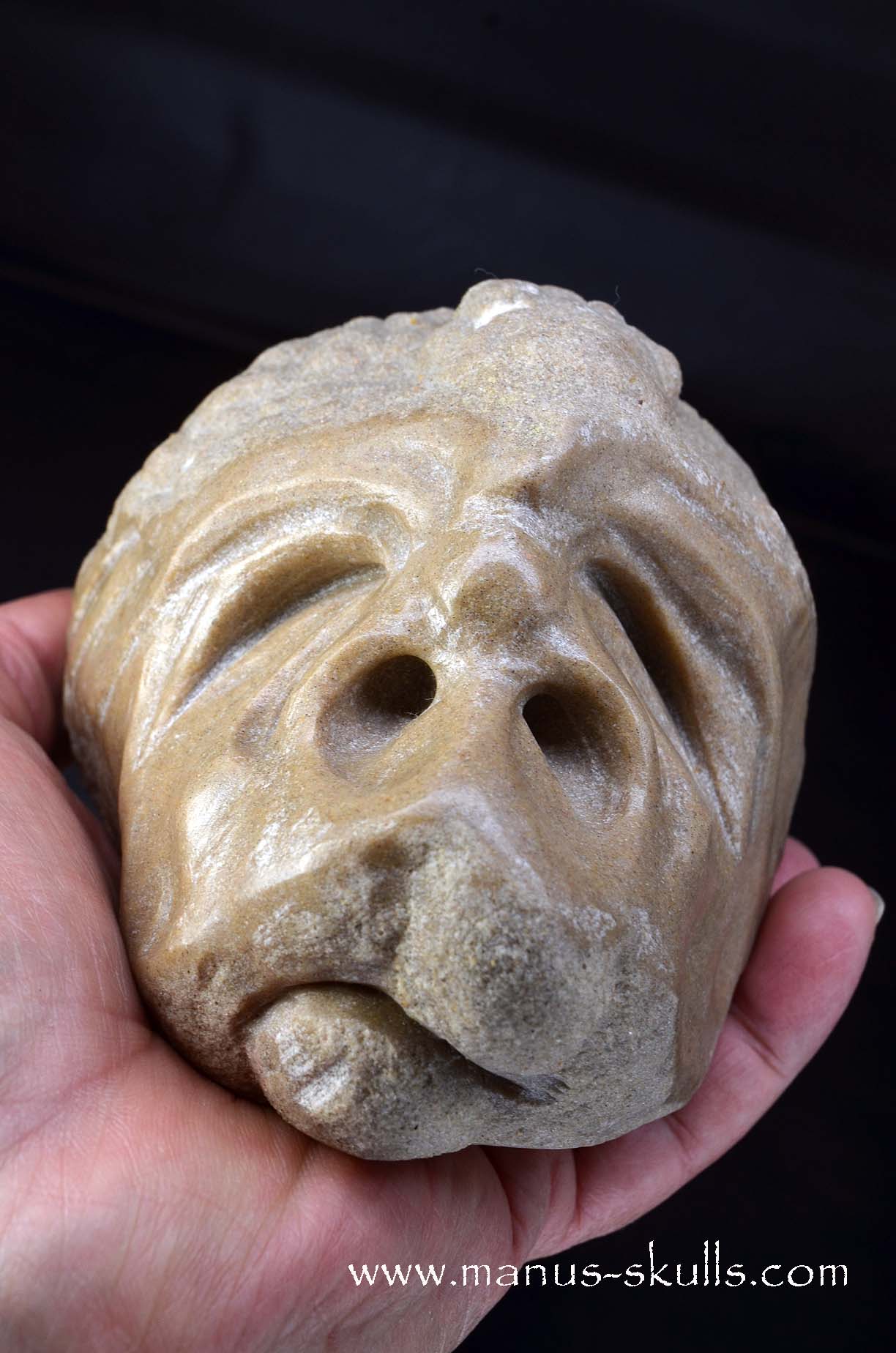 Large Stromatolite ~ Oncolite Character Skull