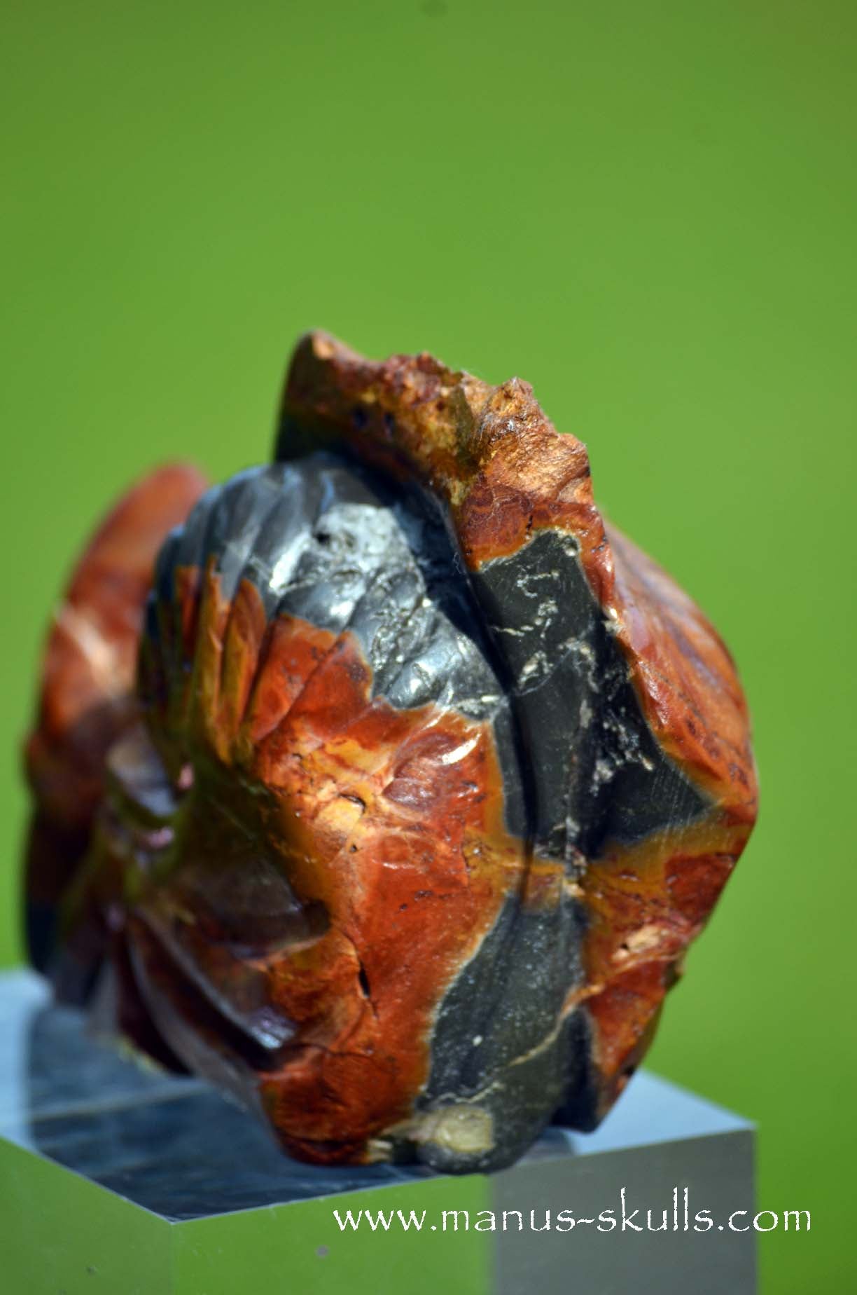 Rainbow Jasper Dragon