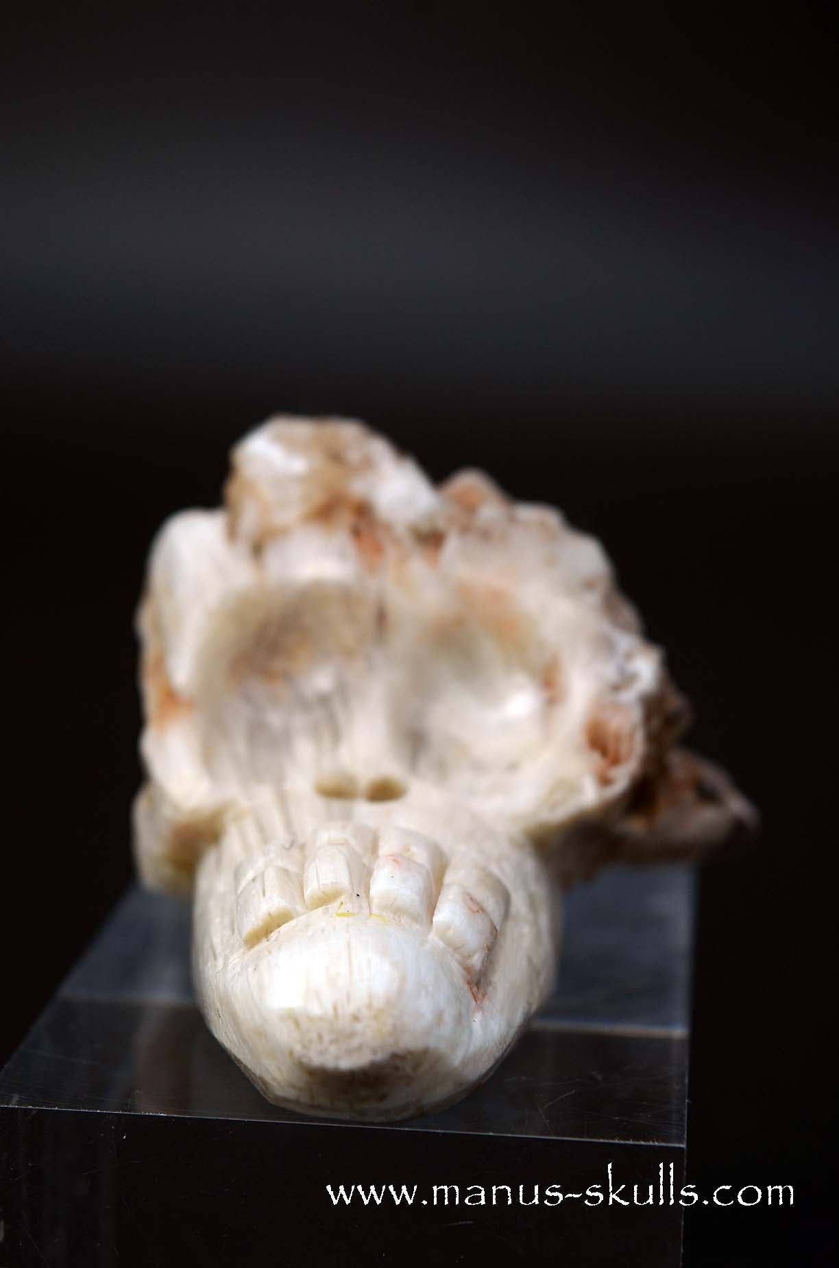 Manus skulls unique Crystal Carvings handmade skulls dragons pendants preseli bluestone tribals spiritual meaning wand Unicorn .. scolecite evolian 2025