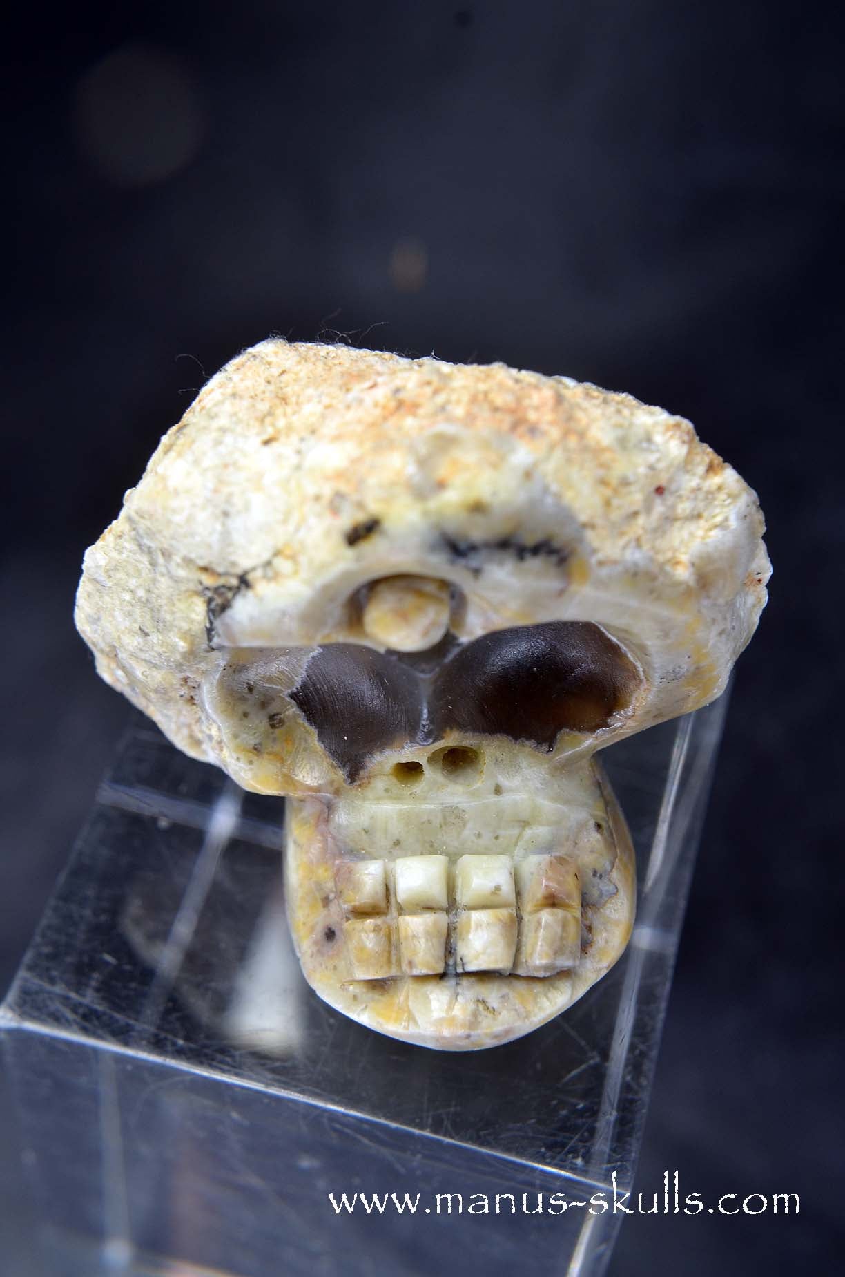 TNT-bed Thunderegg Evolian #06
