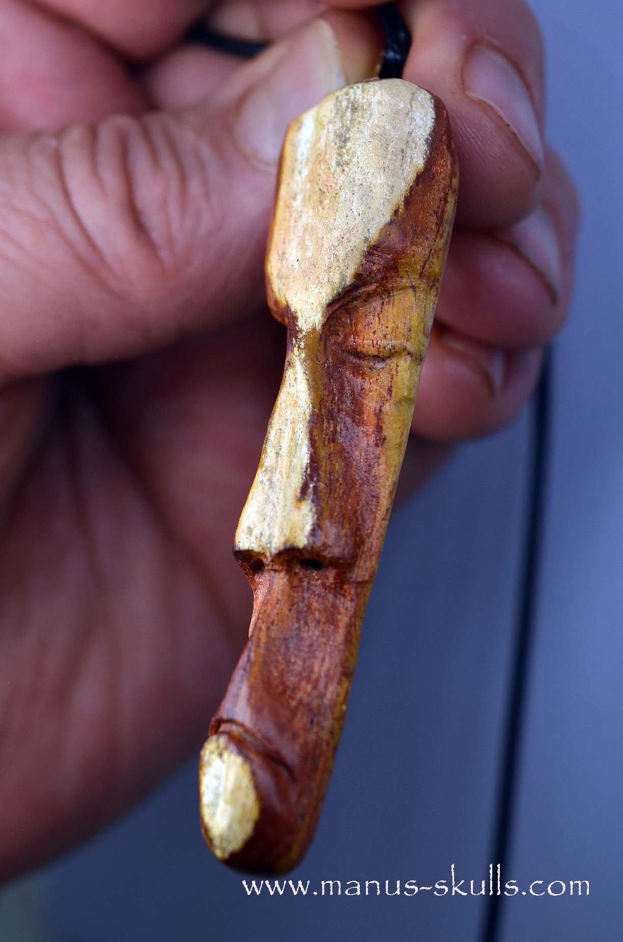 Petrified wood Pendant