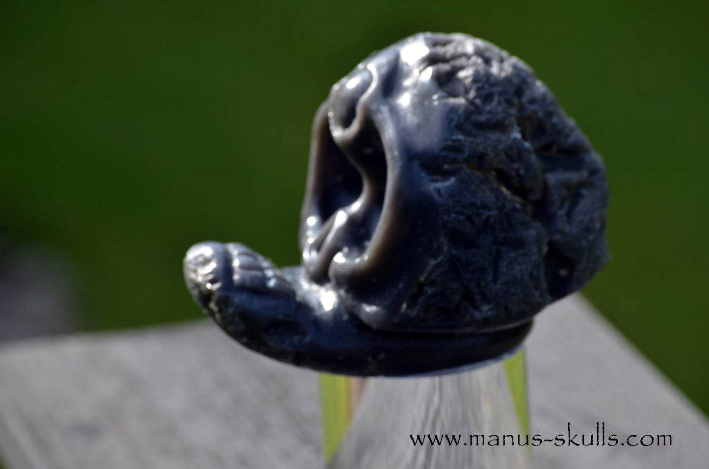 Agni Manitite Evolian #07