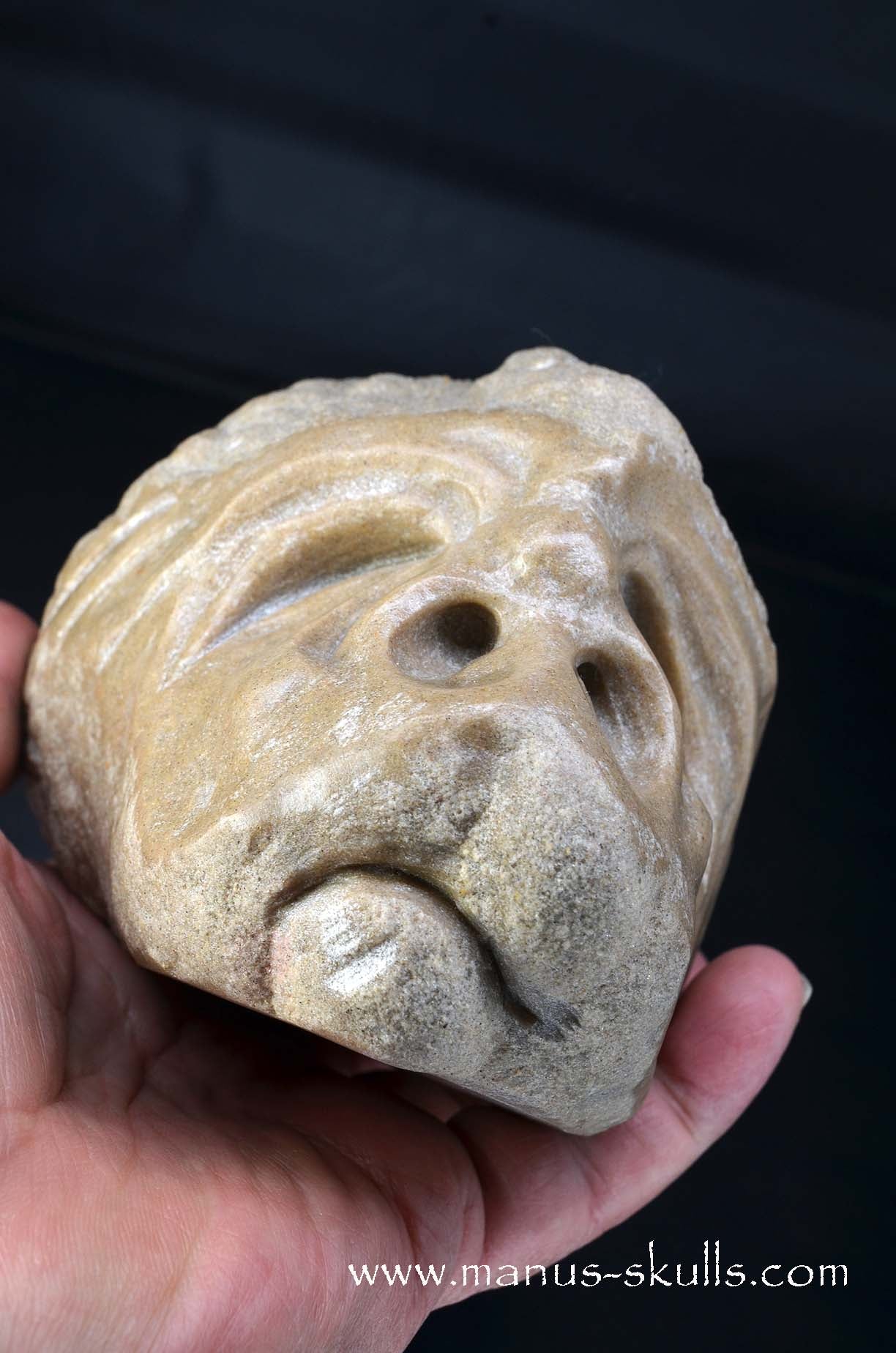 Large Stromatolite ~ Oncolite Character Skull