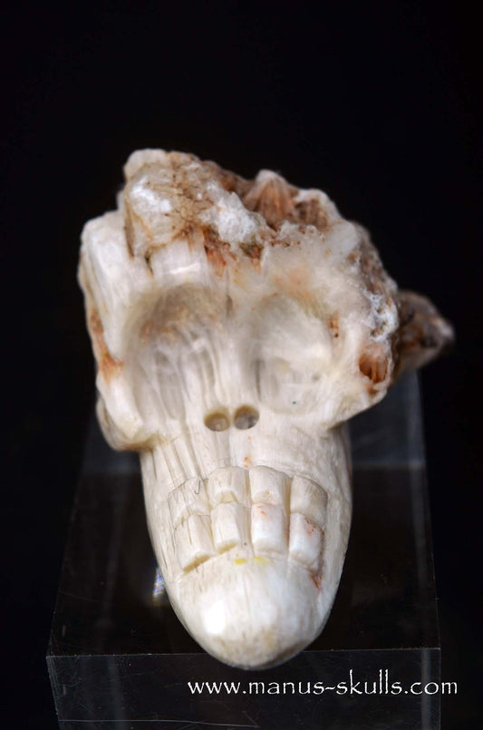 Manus skulls unique Crystal Carvings handmade skulls dragons pendants preseli bluestone tribals spiritual meaning wand Unicorn .. scolecite evolian 2025