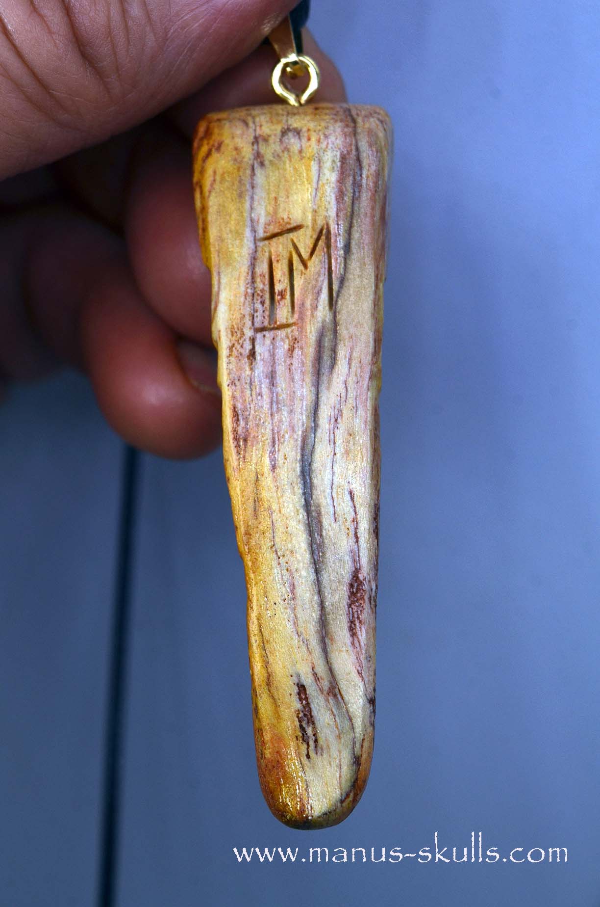 Petrified wood Pendant