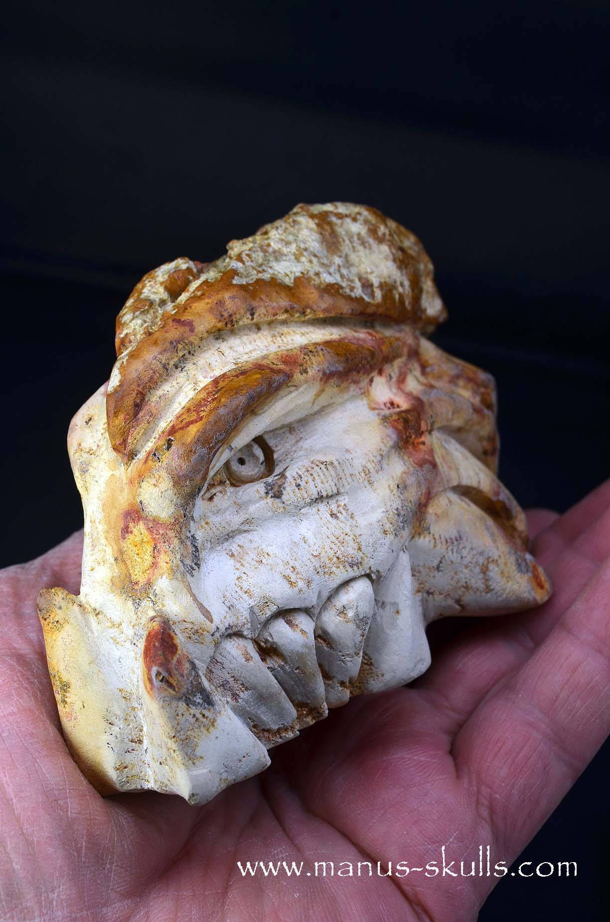 Petrified Coral Dragon