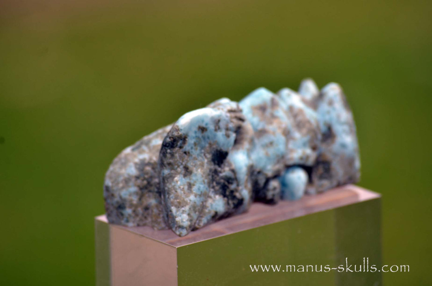 Larimar Dragon