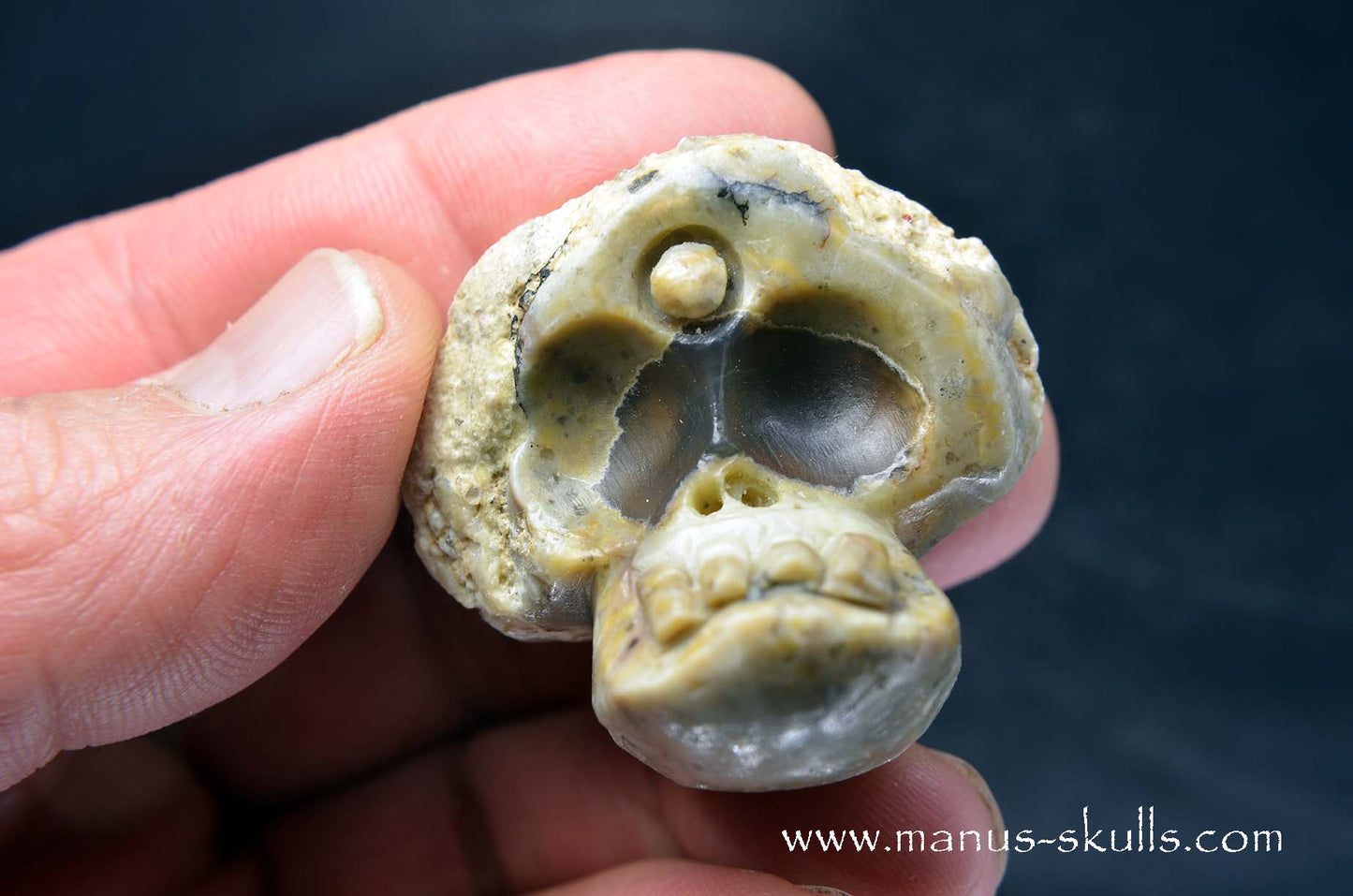TNT-bed Thunderegg Evolian #06