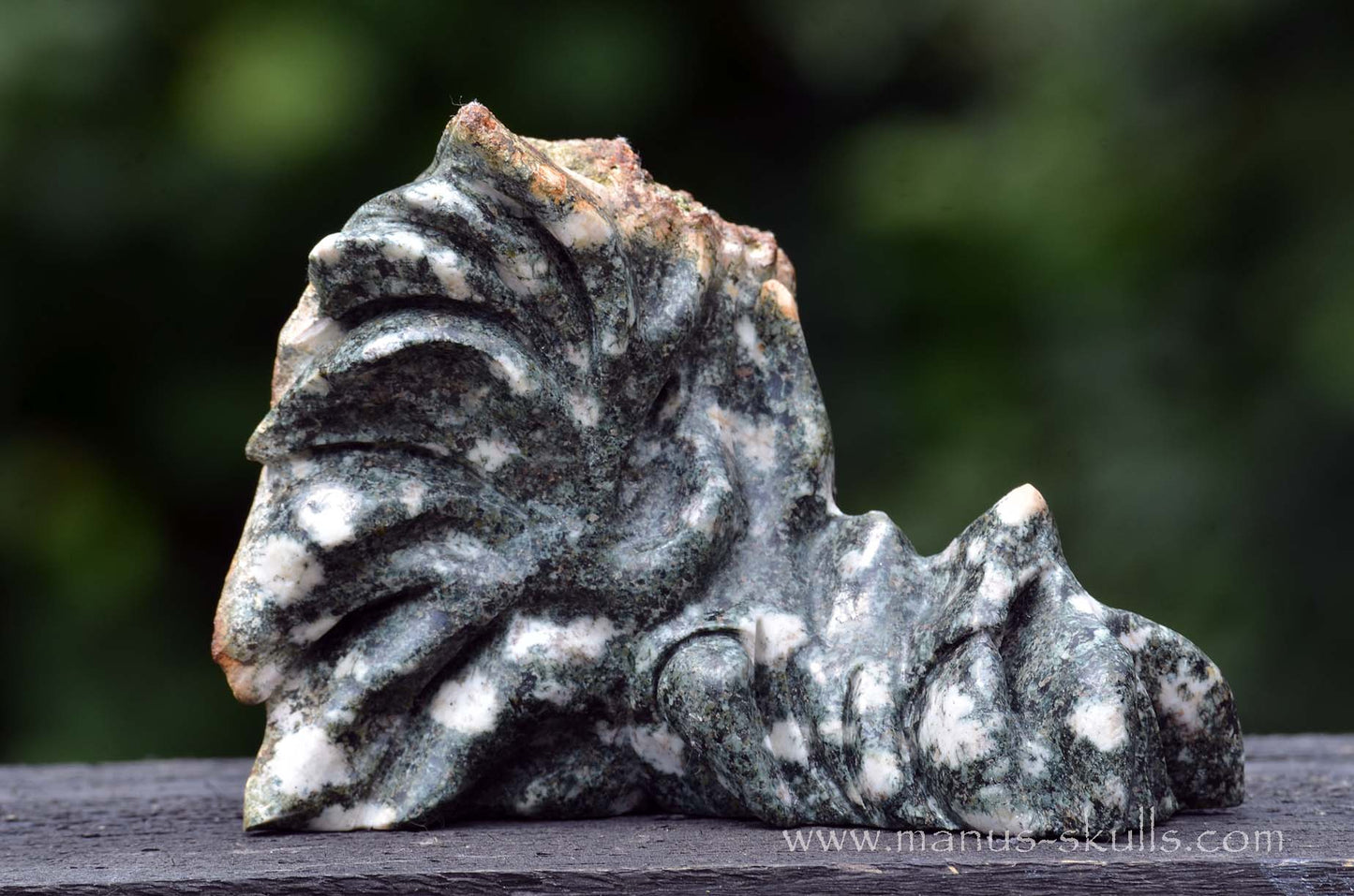 Preseli Bluestone Dragon