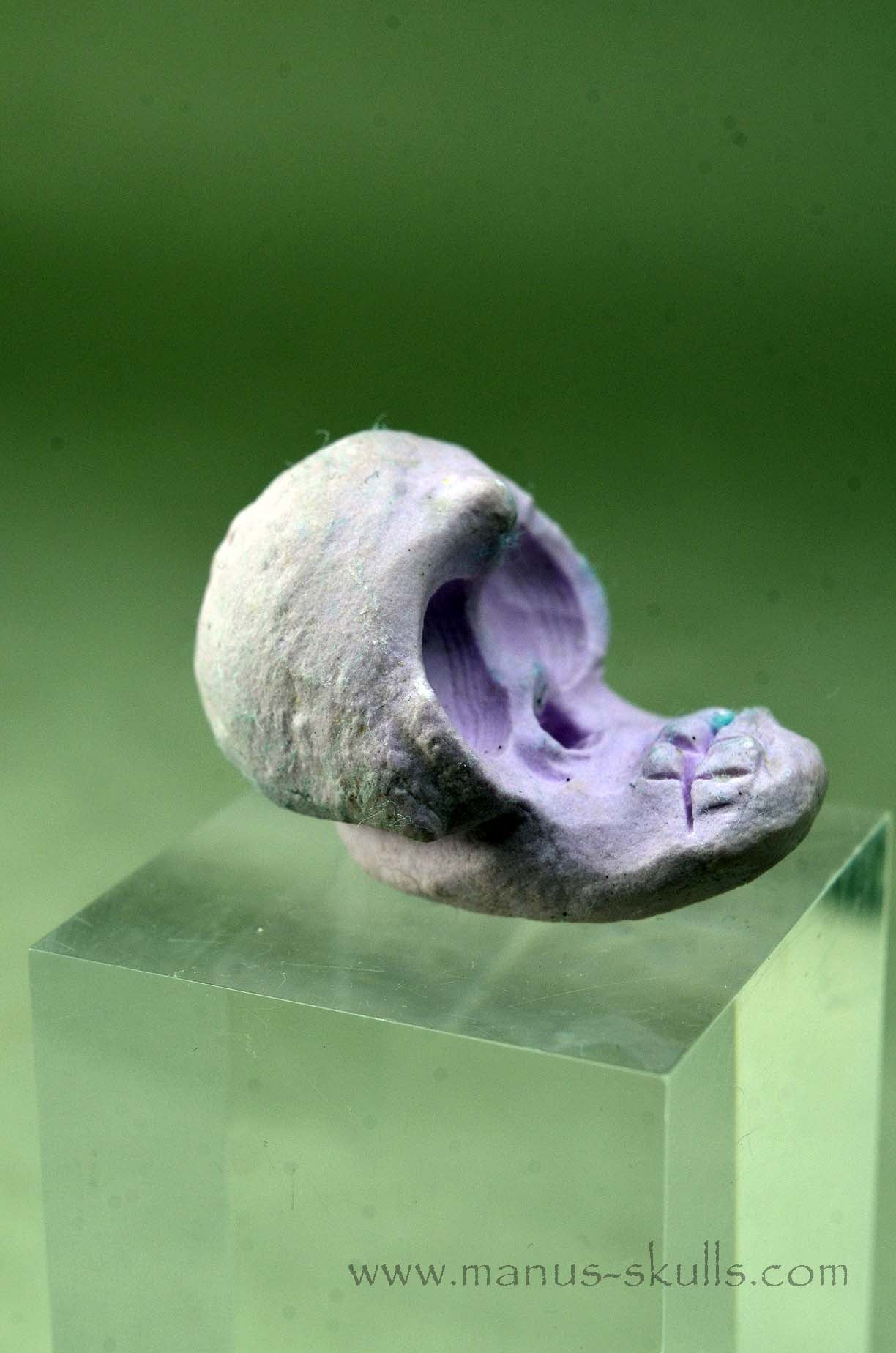Phosphosiderite Evolian Skull #01