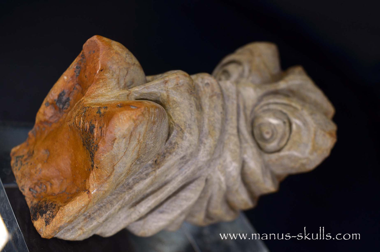 Sarsens Stone Dragon (Stonehenge Stone)