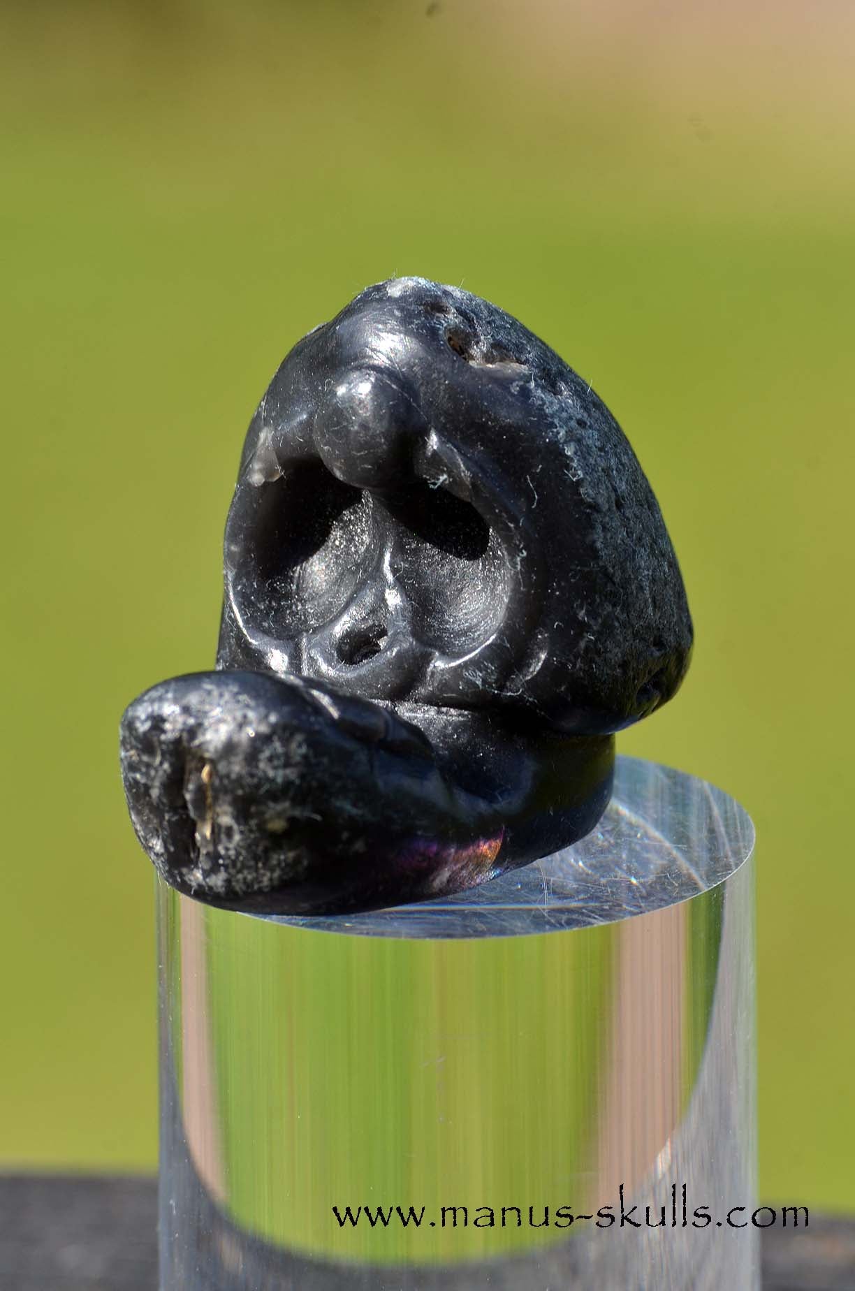 Agni Manitite Evolian Manus Skull