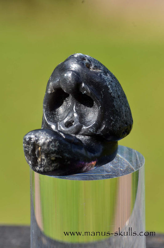 Agni Manitite Evolian Manus Skull