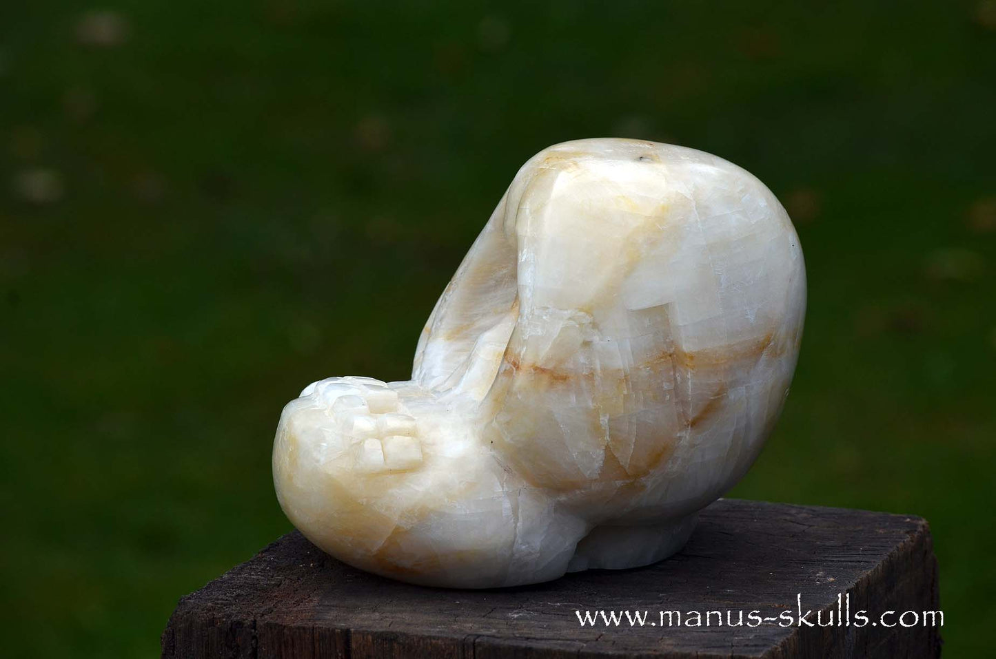 White Calcite Evolian Skull #01
